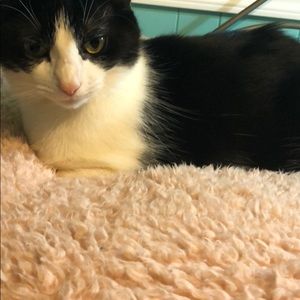 Please make an offer on any listing!